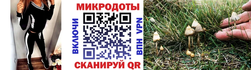 магазин продажи Болгар площадка клад Галлюциногенные грибы GOLDEN TEACHER блэк спрут ССЫЛКА